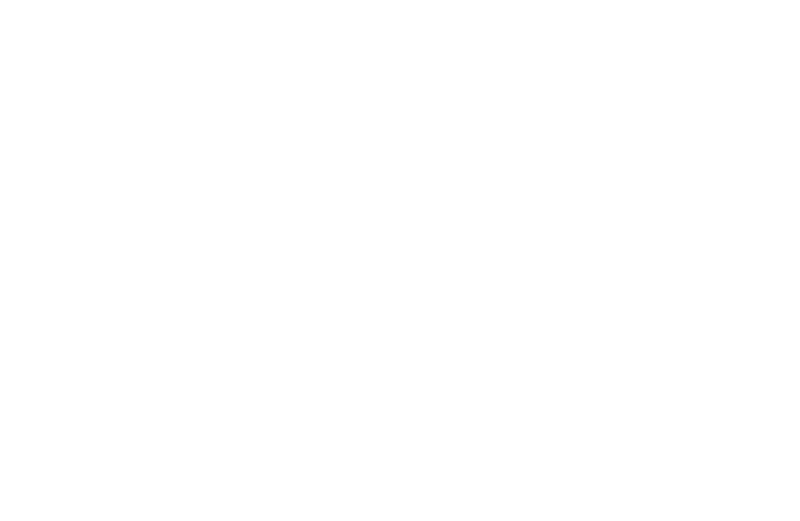 株式会社ディクシス